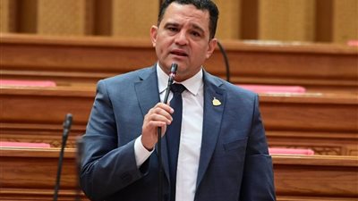 ليسوا مجرد أرقام.. مقترح برلماني لتدشين عيد سنوي لـ 