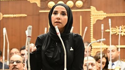 ولاء هرماس: استجابة الحكومة لمجلس الشيوخ تعكس جدية الدولة في مواجهة 