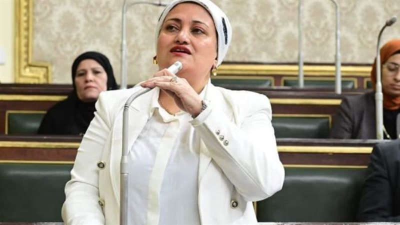 النائبة سناء السعيد