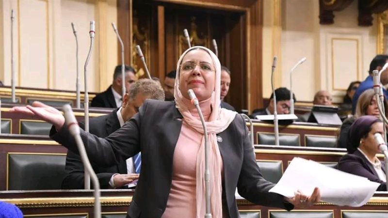 النائبة ريهام عبد