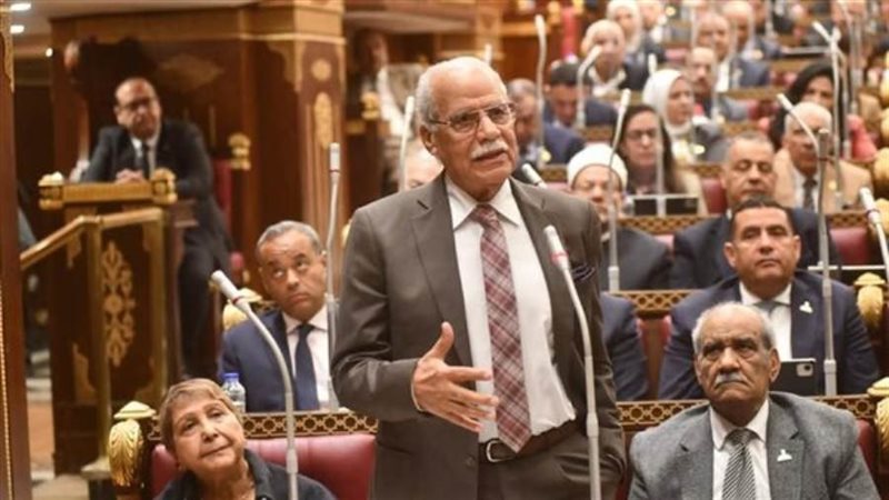 النائب محمد أبو العلا
