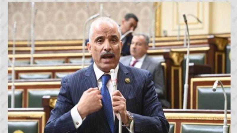 النائب عيد حماد