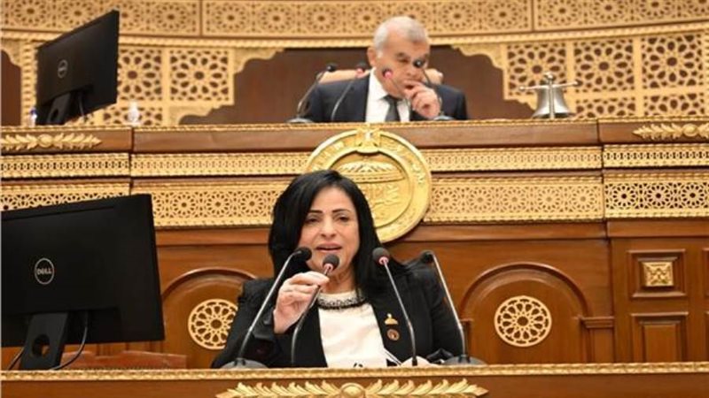 النائبة ميرال جلال