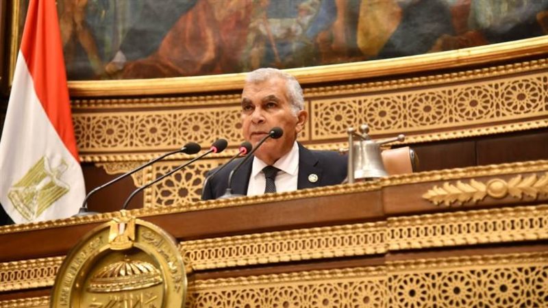 المستشار عصام فريد