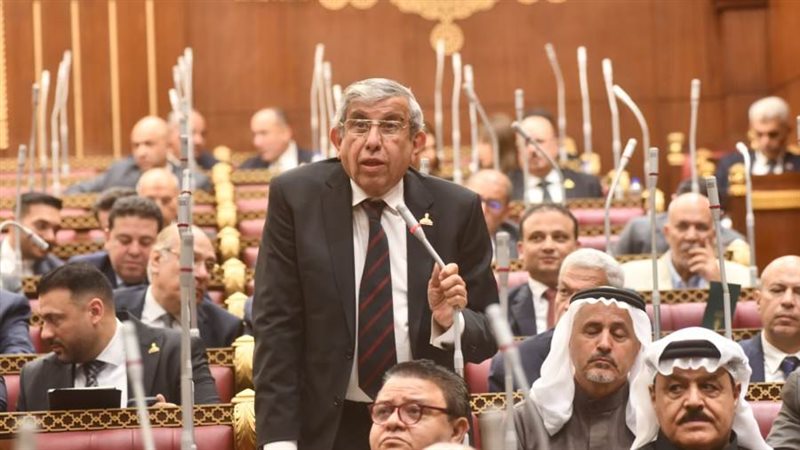 النائب علاء عبد النبي