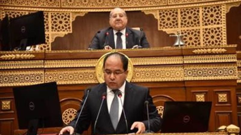 النائب عادل اللمعي