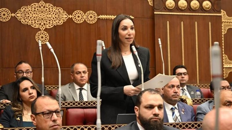 النائبة حنان وجدي