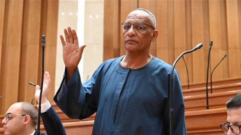 النائب مدحت ركابي