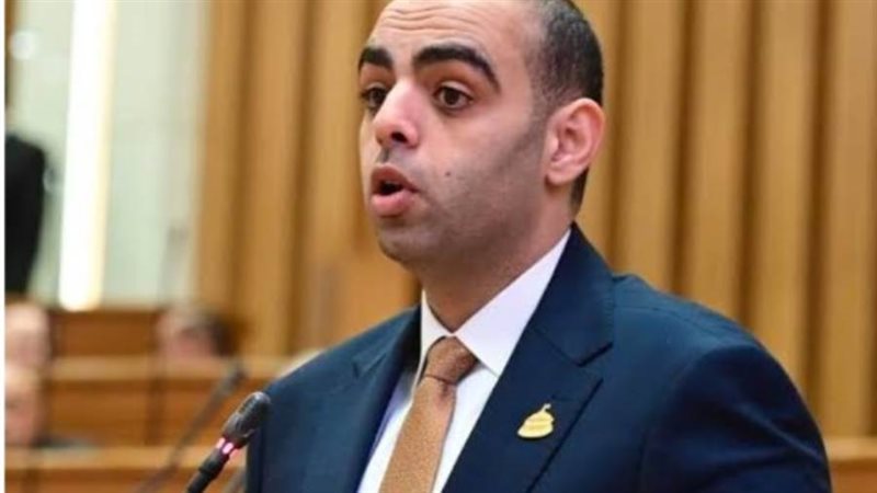 النائب حسن عمر حسانين