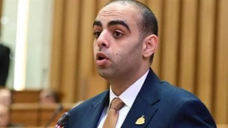 النائب حسن عمر حسانين