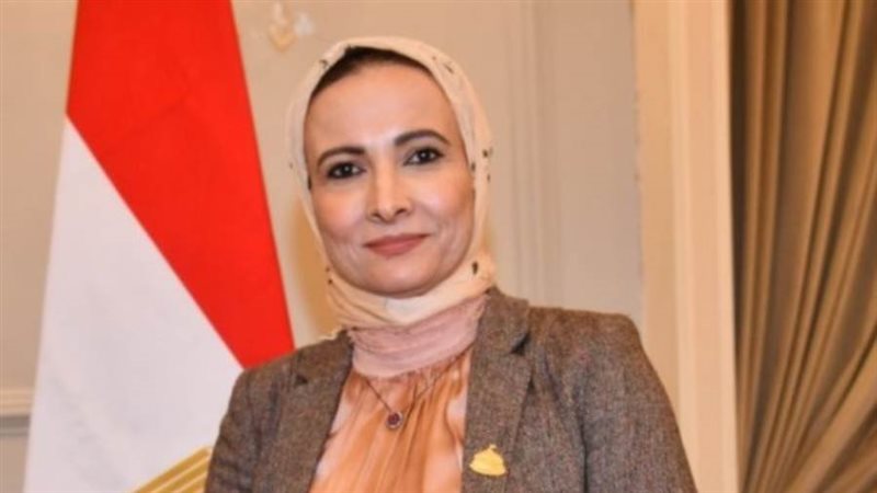 عضو مجلس النواب النائبة