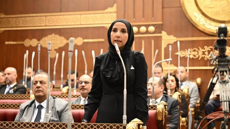 النائبة ولاء هرماس