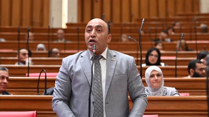 النائب حسام حسن