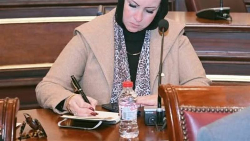 النائبة داليا سعد