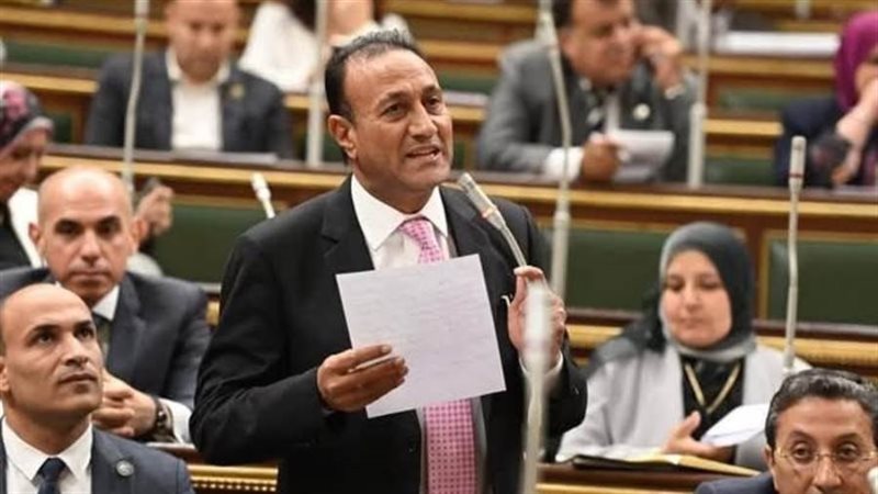 النائب علي بدوي