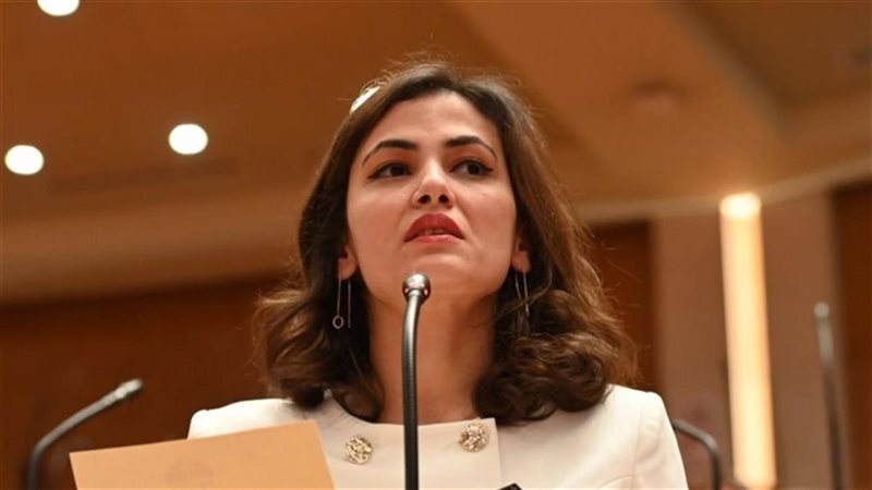 النائبة نيفين إسكندر،