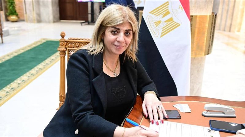 النائبة أميرة فؤاد رزق