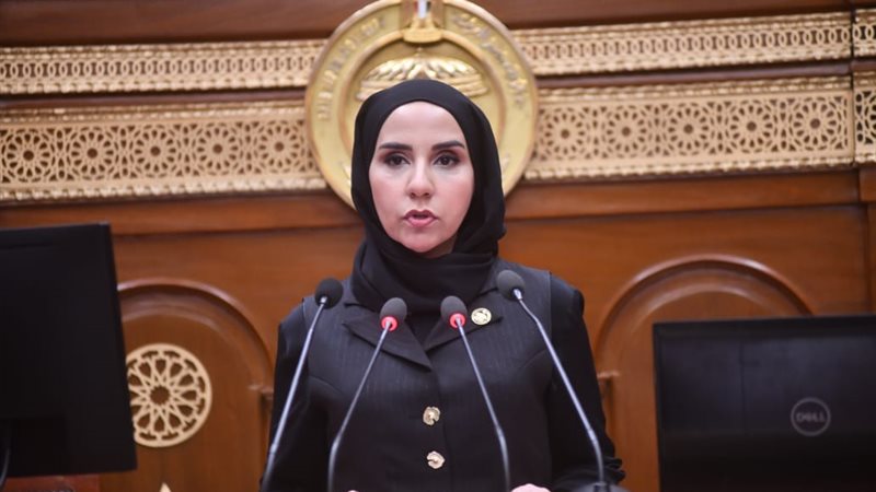 النائبة ولاء هرماس