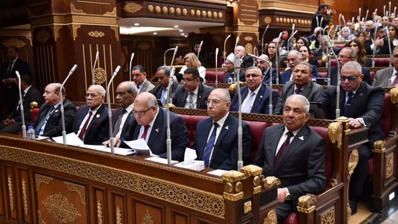 مجلس الشيوخ