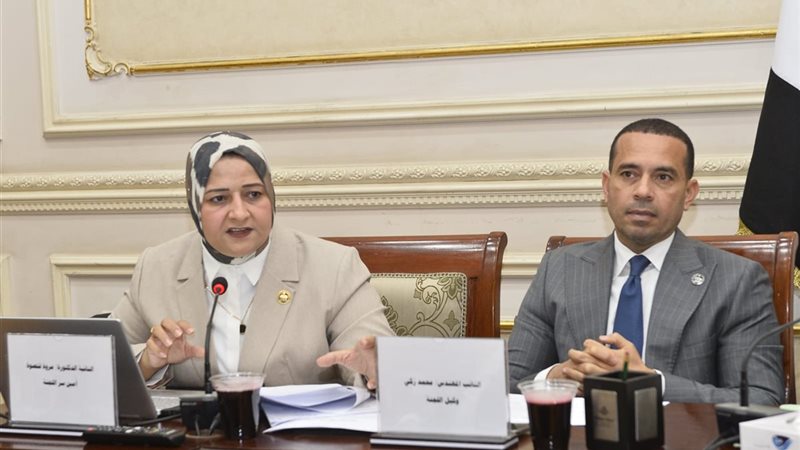 النائبة مروة قنصوة