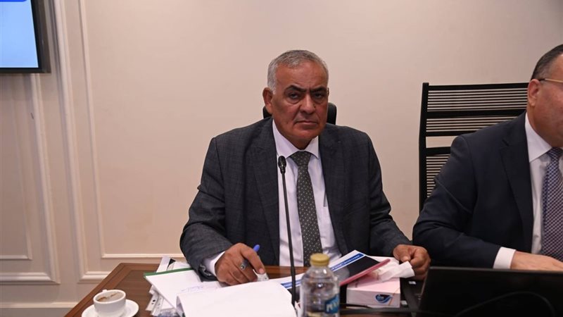النائب لطفي شحاتة
