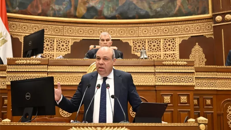 وزير الطيران بمجلس