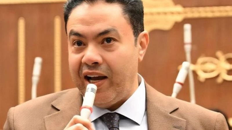 النائب إسماعيل الشرقاوي