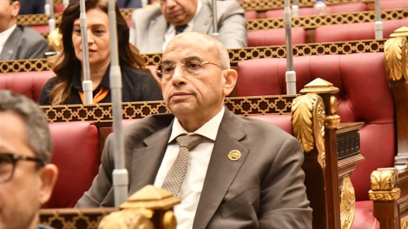 النائب أشرف عبد الغني