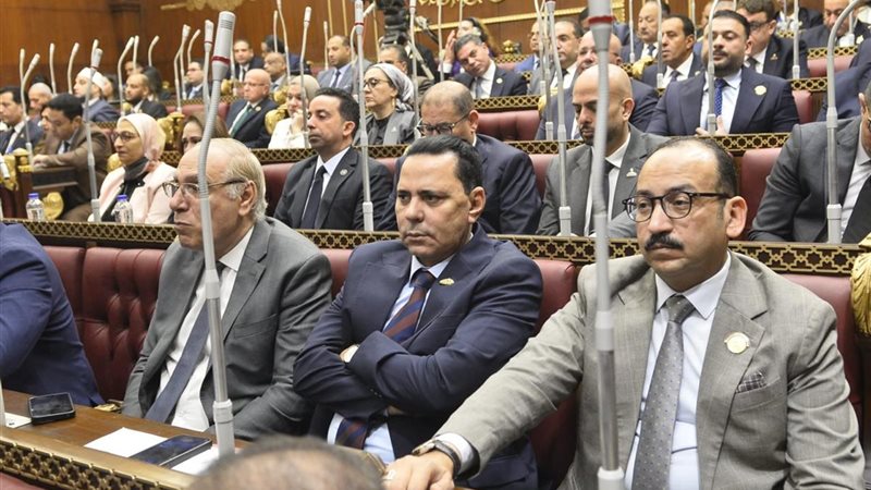 النائب عبد العاطي أحمد