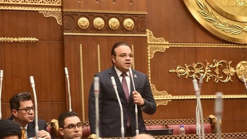 النائب محمد محسن