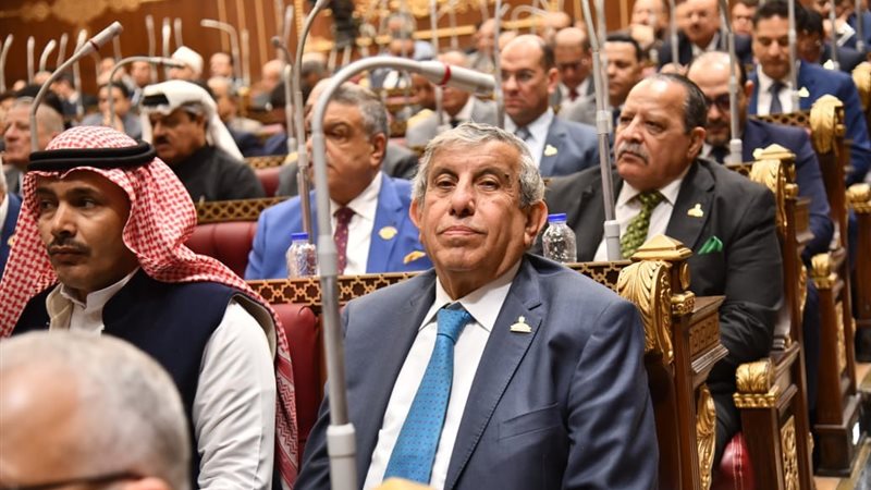 النائب علاء عبد النبي