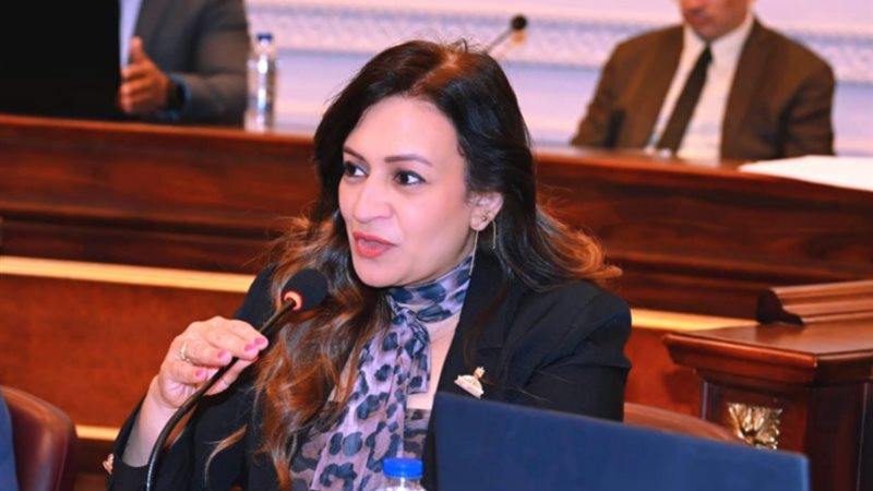  النائبة نيفين فارس