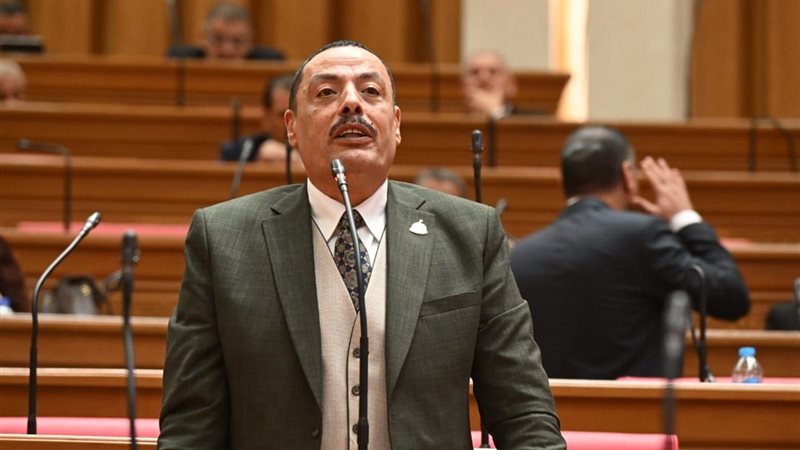 النائب أشرف أمين