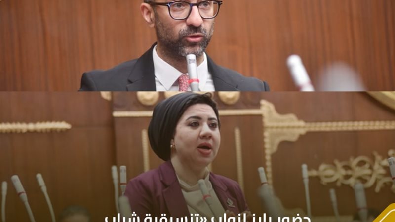 نواب تنسيقية شباب