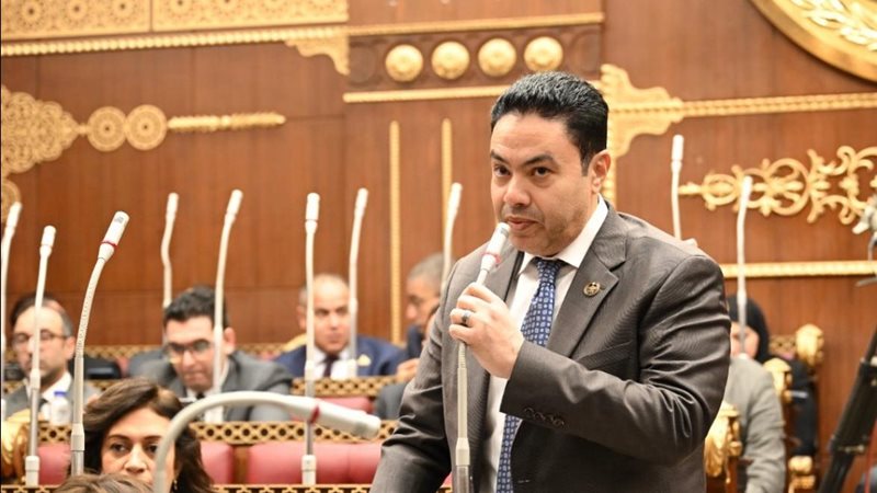النائب إسماعيل الشرقاوي