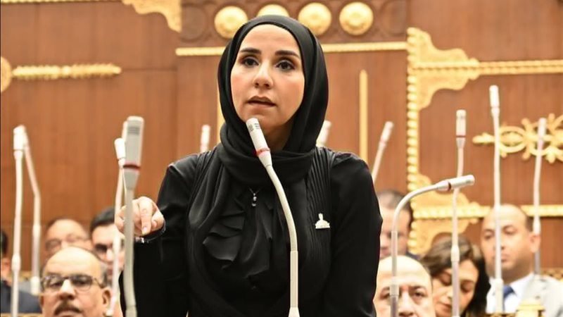 النائبة ولاء هرماس، عضو مجلس الشيوخ 