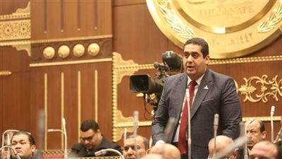 بسبب سيستم المعاشات.. النائب وليد التمامي: معاناة كبار السن أمام ماكينات الصرف 