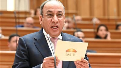 مناقشة العدادات الكودية بالبرلمان.. النائب طارق المحمدي يطالب بسياسة عادلة للتسعير