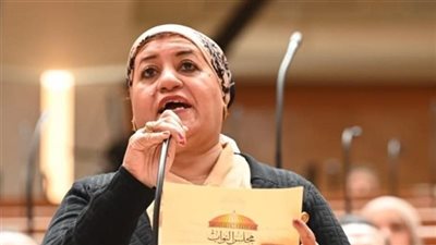 بعد أزمة العدادات الكودية.. رحاب الغول تحرج مسؤولي الكهرباء: “قولتوا أن العدادات مخصصة للمخالفين.. عملتوها للمنتظمين ليه؟”