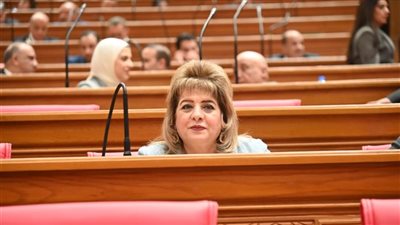 النائبة هناء أنيس تتقدم بطلب إحاطة للحكومة بسبب تزايد هجمات الكلاب الضالة على المواطنين والأطفال