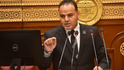 النائب الحسيني الليثي: الفقراء يدفعون ثمن ارتفاع الأسعار قبل العيد والحكومة مطالبة بالتدخل لضبط الأسواق | خاص