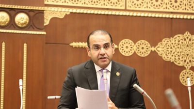 النائب محمد المنزلاوي: مشروع «الدلتا الجديدة» يعكس قوة الدولة المصرية ورؤيتها لتحقيق الأمن الغذائي