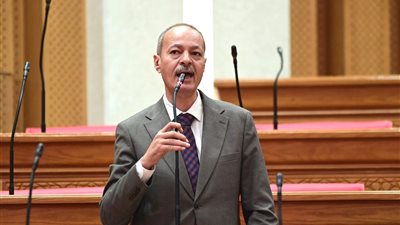 منع البيع للأفراد وتسجيل المشترين.. خطة برلمانية صارمة للنائب حسين غيته لإنهاء كابوس حبة الغلة ومياه النار في مصر