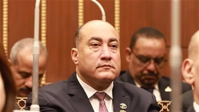 النائب عمرو رشاد: الرئيس السيسي وضع خارطة طريق واضحة لتعزيز مكانة أفريقيا عالميًا