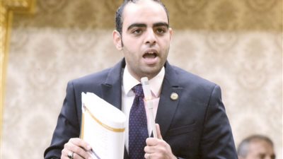 حسن عمر حسنين: تحركات الرئيس السيسي تؤكد ثبات الدور المصري في دعم الاستقرار الإقليمي