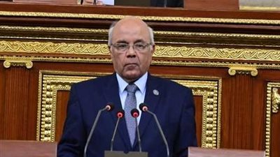 النائب محمد عطية الفيومي: 7 سنوات كانت كافية لإنجاز التحول الرقمي بالكامل.. وتأخر الحكومة يعكس استمرار التحديات