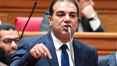 النائب أحمد السنجيدي: سحب 9 مليارات جنيه قبل عيد الأضحى 