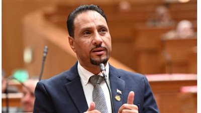 النائب جرجس لاوندي: العلمين الجديدة 