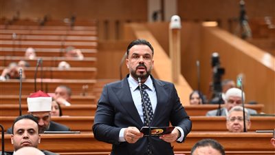 رئيس شباب النواب : أزمة الإسماعيلي جرس إنذار لكل الأندية الجماهيرية.. وإنقاذها واجب
