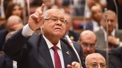 بين العقر والخوف.. النائب ناجي الشهابي: الكلاب الضالة لم تعد مجرد 